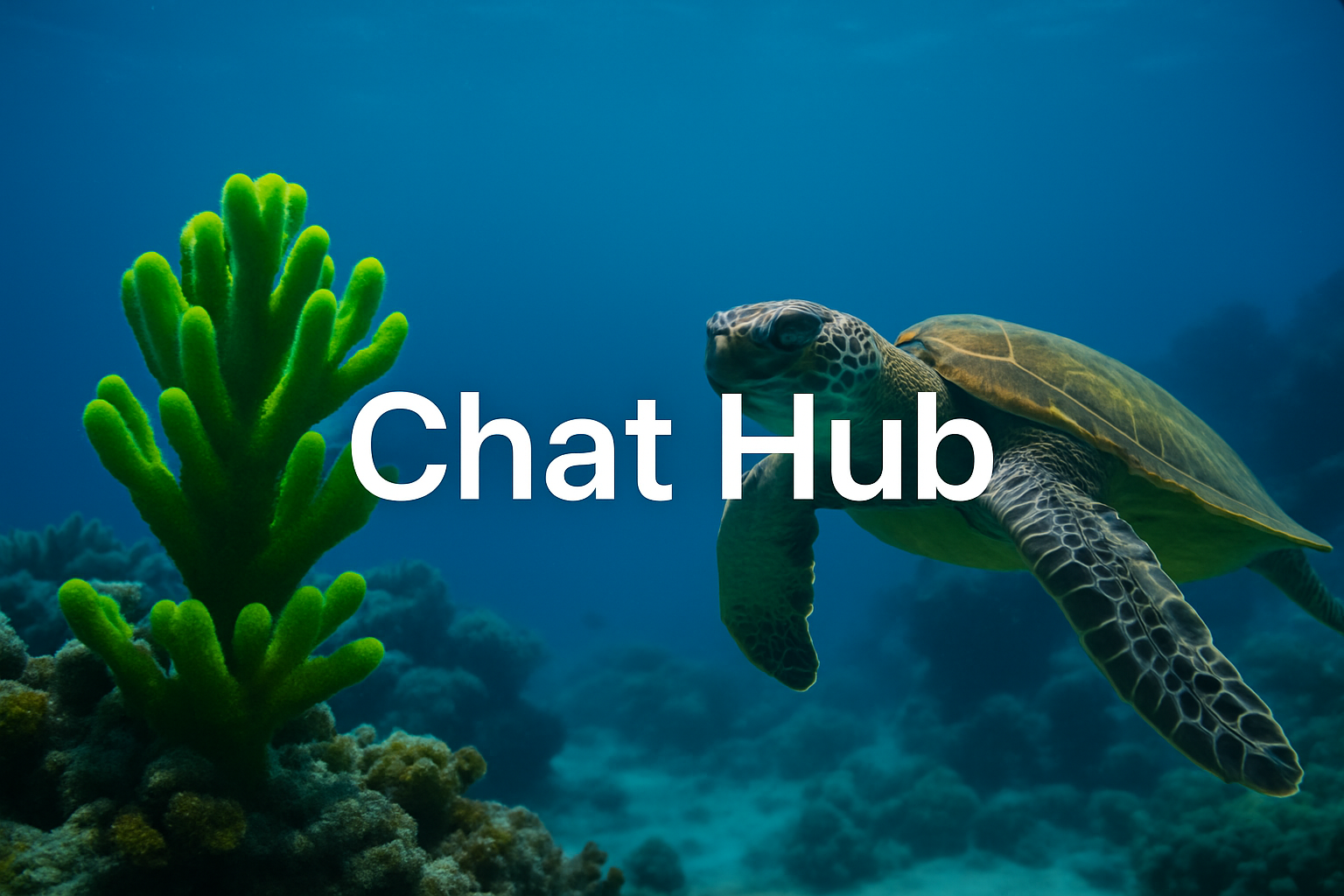 Chat hub
